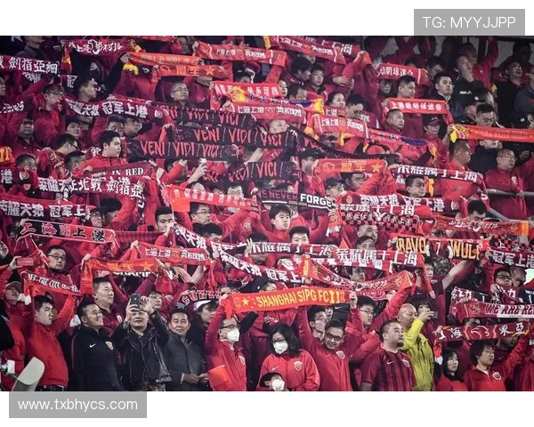 中超精彩对决上港与国安全场录像回放及精彩瞬间解析